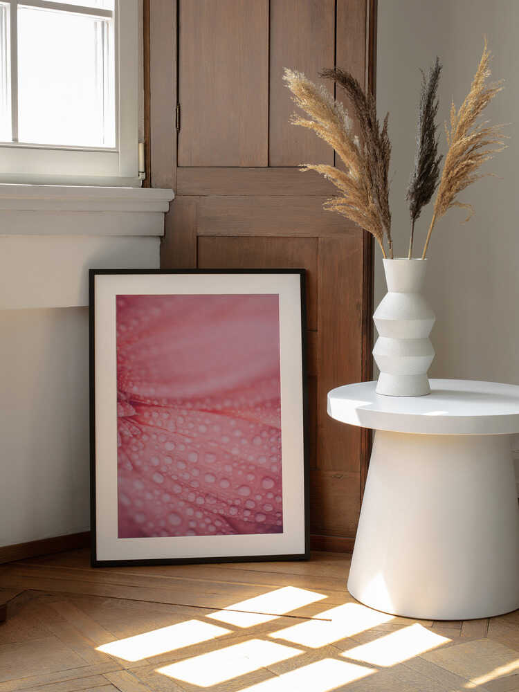Soft Pink Bloom, arte de Javier Pardina enmarcado en una pared
