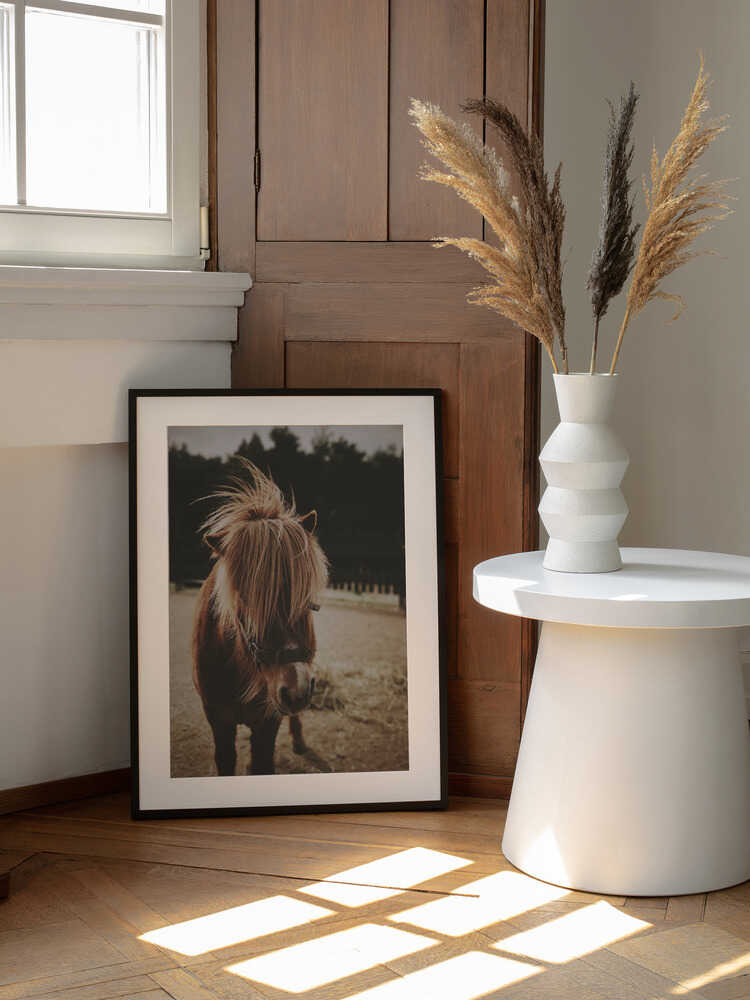 Adorable Shaggy Pony, arte de Javier Pardina enmarcado en una pared