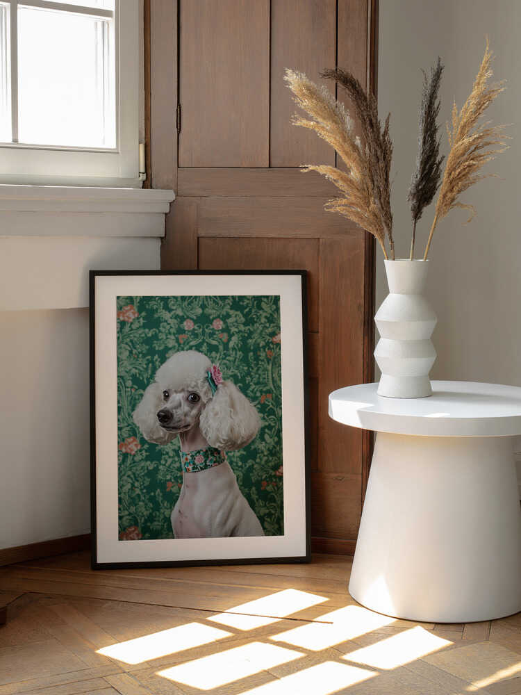 Elegant Poodle Charm, arte de SHANDU enmarcado en una pared