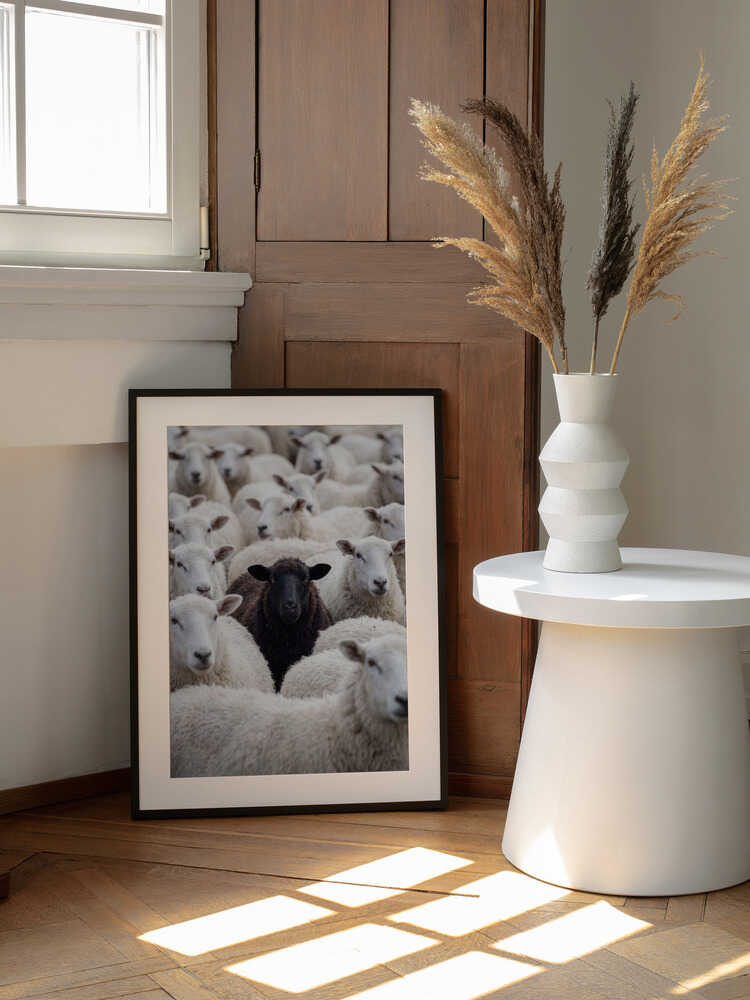 One Black Sheep, arte de Andreas Magnusson enmarcado en una pared
