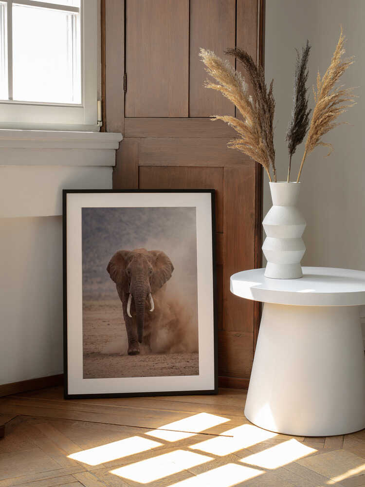 Powerful Dusty Elephant, arte de Andreas Magnusson enmarcado en una pared
