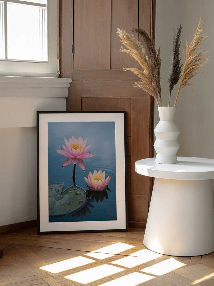 Serene Water Lilies, arte de Andreas Magnusson enmarcado en una pared