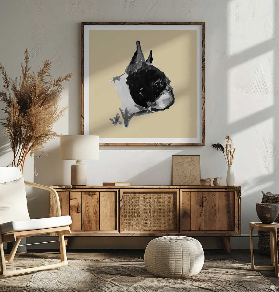 Expressive Boston Terrier Portrait